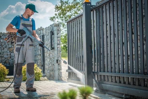 Boat and Dock Cleaning in Colchester, IL