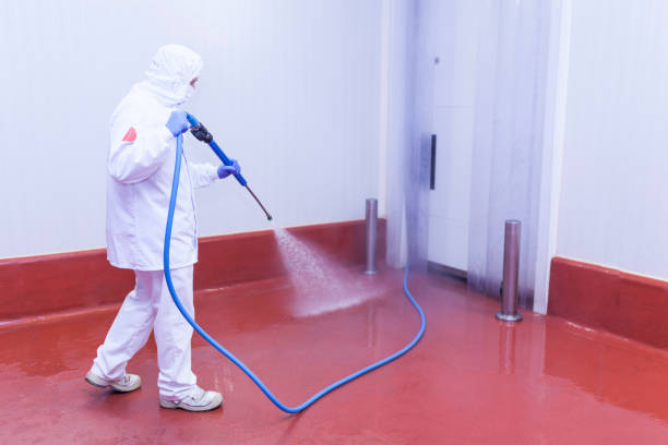 Best Boat and Dock Cleaning  in Colchester, IL