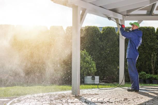 Best Pre-Holiday Cleaning  in Colchester, IL
