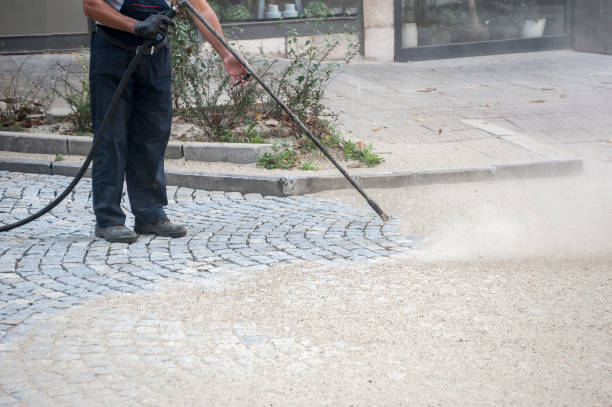 Best Animal Enclosure Cleaning  in Colchester, IL