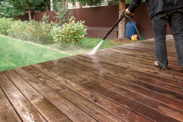 Best Paint Preparation  in Colchester, IL